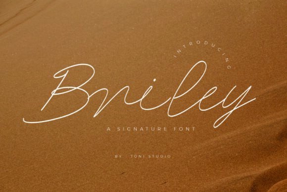 Briley: The Elegant Script for Modern Branding